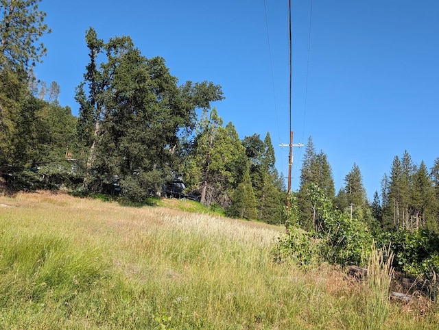 1 Rd 274, Bass Lake, CA 93604 - photo 13