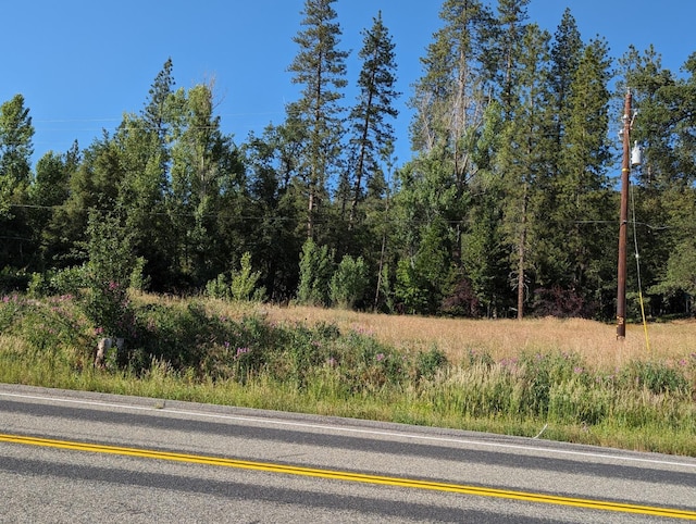 1 Rd 274, Bass Lake, CA 93604 - photo 18
