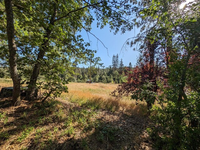 1 Rd 274, Bass Lake, CA 93604 - photo 6