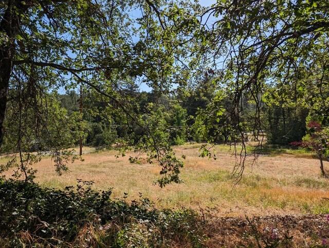 1 Rd 274, Bass Lake, CA 93604 - photo 5