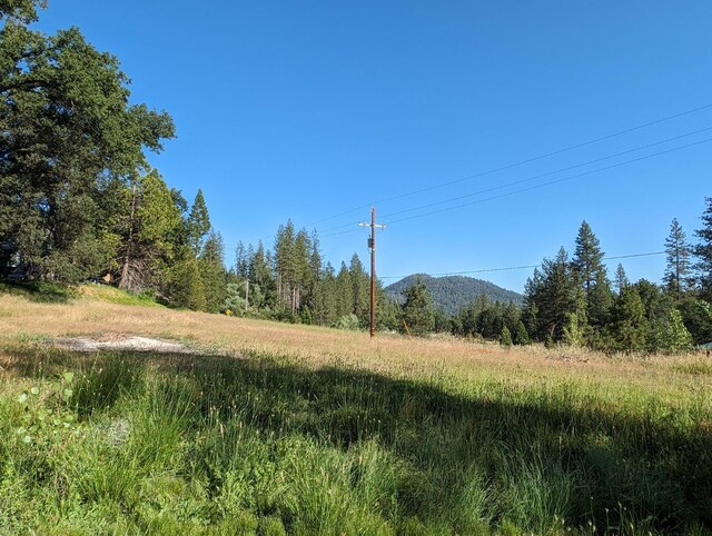 1 Rd 274, Bass Lake, CA 93604 - photo 10