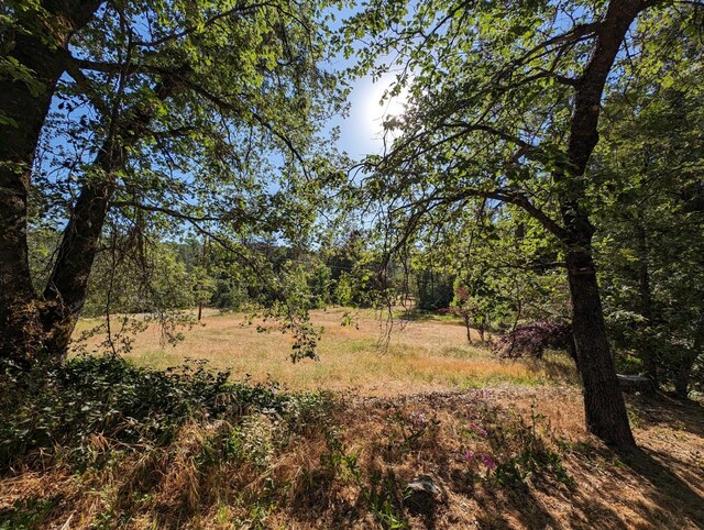 1 Rd 274, Bass Lake, CA 93604 - photo 4