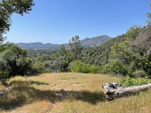 5703 Cascade Creek Fall, Mariposa CA, 95338 land for sale