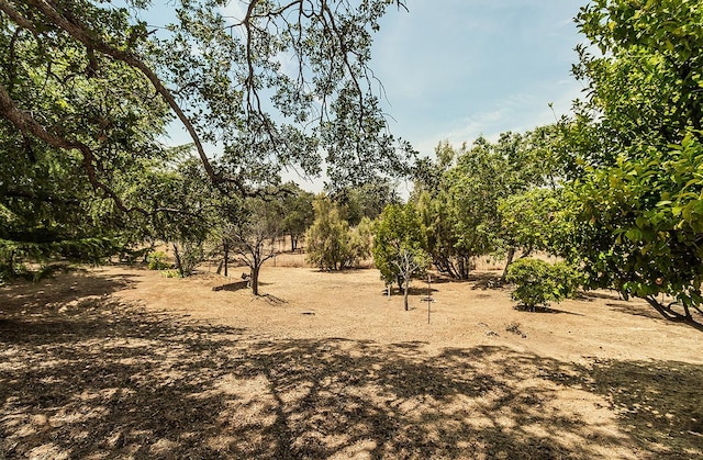 view of landscape featuring a rural view