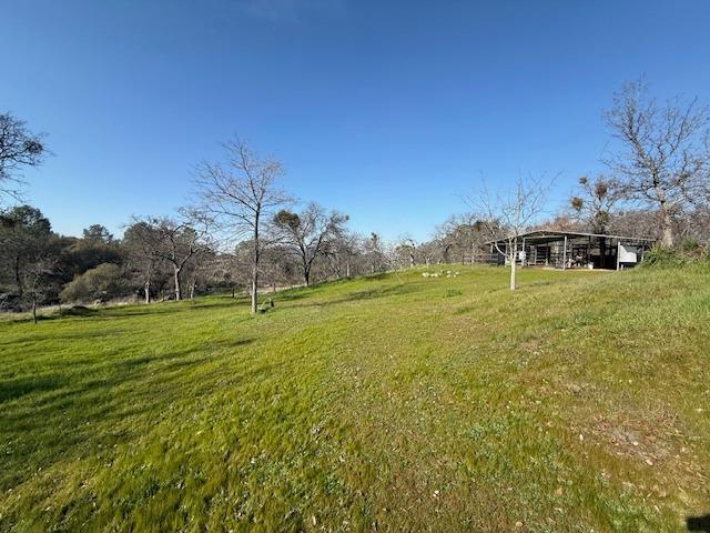 view of yard with a rural view