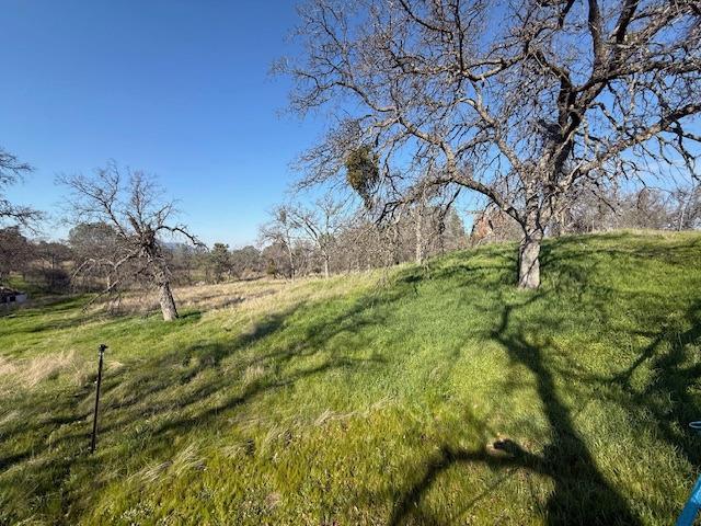 view of nature with a rural view