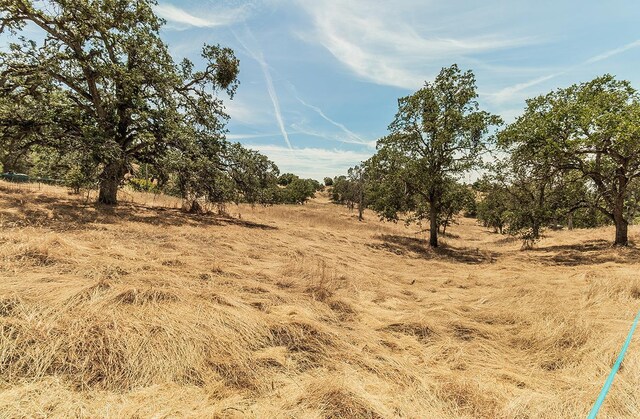 view of local wilderness featuring a rural view