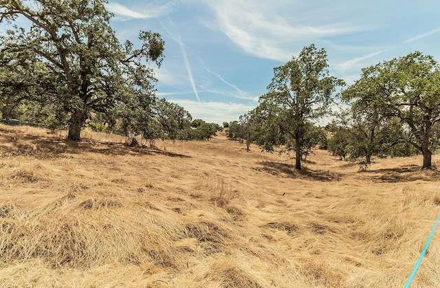 view of landscape with a rural view