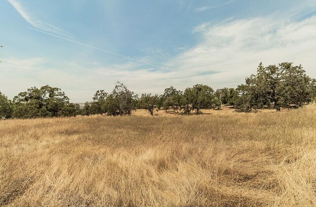 view of local wilderness featuring a rural view