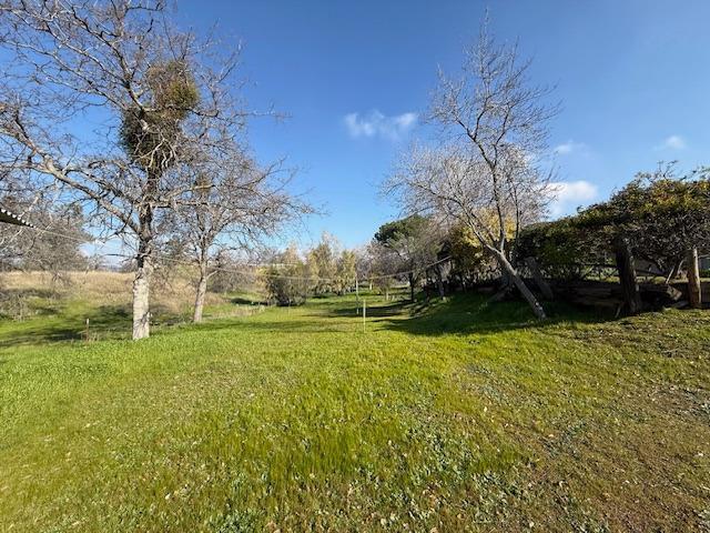 view of yard featuring a rural view