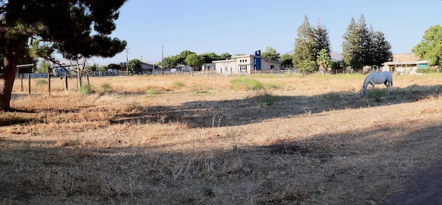 view of yard with a rural view