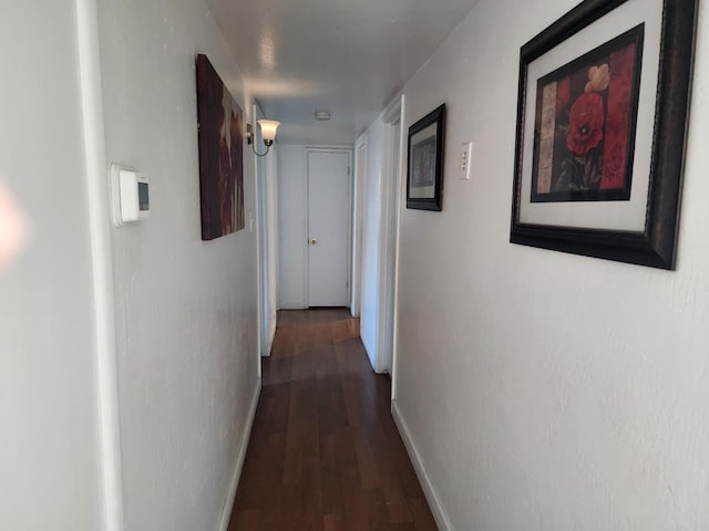 corridor featuring wood-type flooring