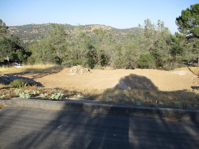 42112 Colt Way, Coarsegold CA, 93614 land for sale