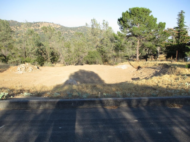 Listing photo 2 for 42112 Colt Way, Coarsegold CA 93614