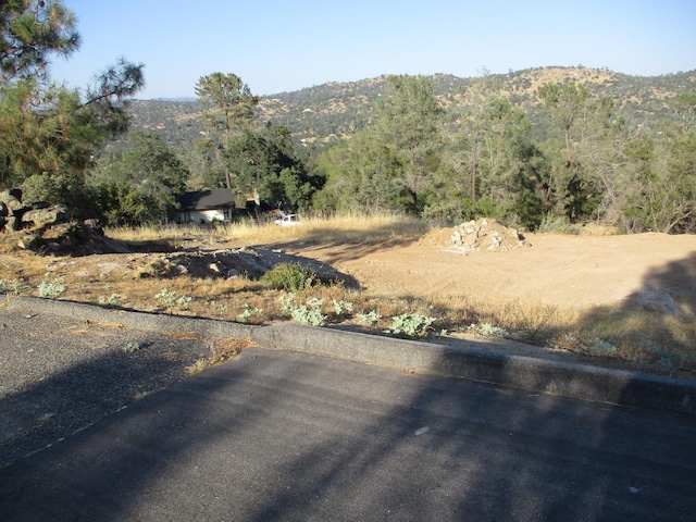 Listing photo 3 for 42112 Colt Way, Coarsegold CA 93614