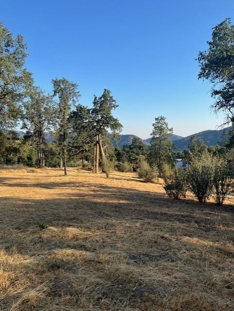 0 Knickerbocker, Ahwahnee CA, 93601 land for sale