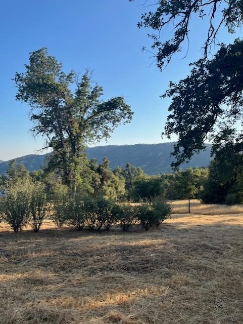 Listing photo 2 for 0 Knickerbocker, Ahwahnee CA 93601