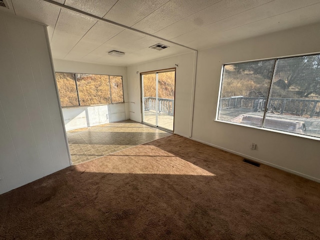 carpeted empty room with a healthy amount of sunlight