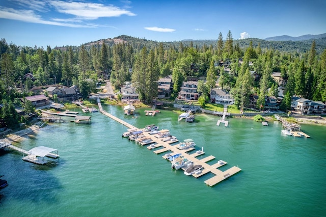 bird's eye view with a water and mountain view