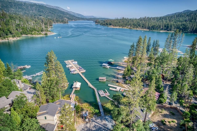 birds eye view of property with a water and mountain view