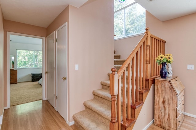 stairway with plenty of natural light and light colored carpet