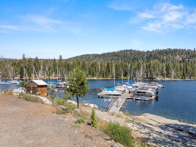 dock area featuring a view of trees and a water view