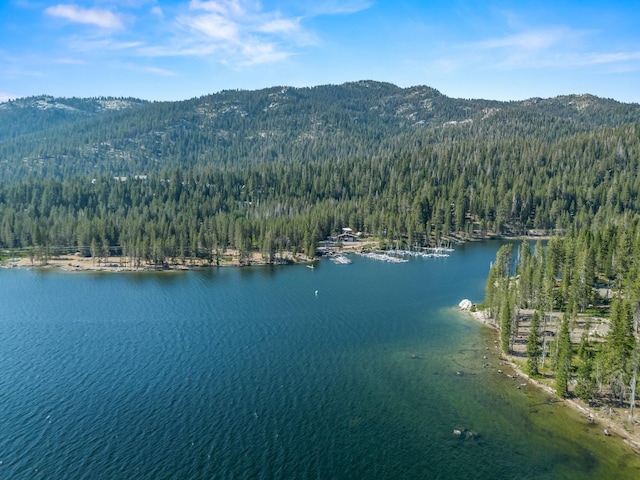 bird's eye view with a view of trees and a water and mountain view