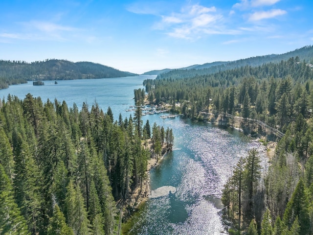 aerial view with a view of trees and a water view