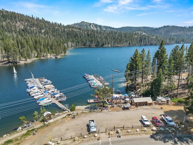 drone / aerial view with a wooded view and a water view