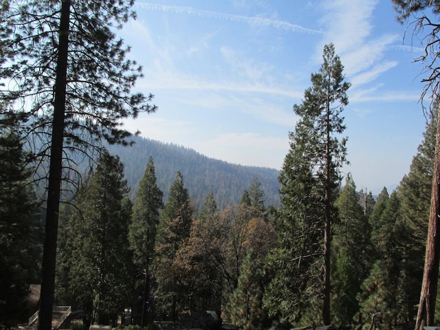 7343 Yosemite Park Way, Yosemite West, CA 95389 - photo 1
