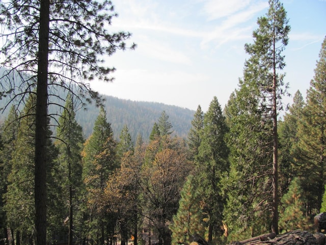 7343 Yosemite Park Way, Yosemite West, CA 95389 - photo 2