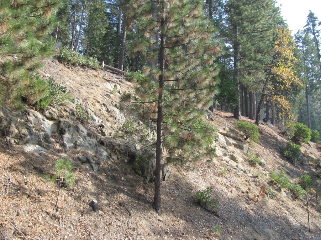 7343 Yosemite Park Way, Yosemite West, CA 95389 - photo 3