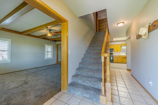 staircase featuring beamed ceiling, ceiling fan, and carpet