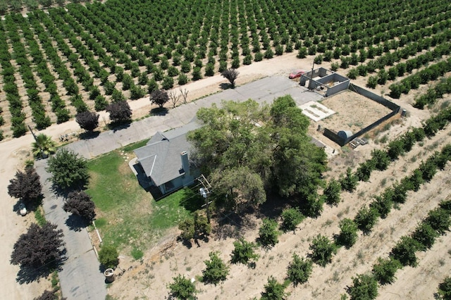 12647 E Clarkson Ave, Kingsburg, CA 93631 - drone / aerial view with a rural view