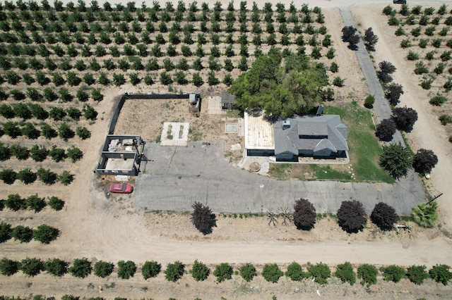 12647 E Clarkson Ave, Kingsburg, CA 93631 - drone / aerial view with a rural view