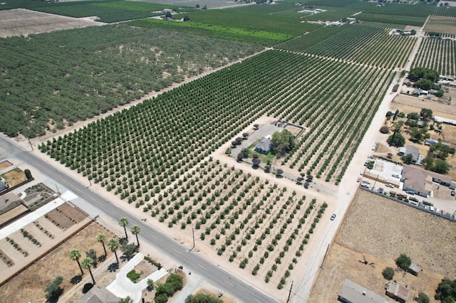 12647 E Clarkson Ave, Kingsburg, CA 93631 - bird's eye view featuring a rural view