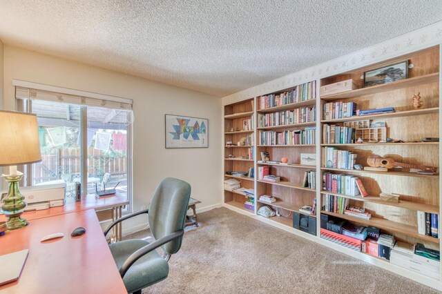 carpeted office space with a textured ceiling