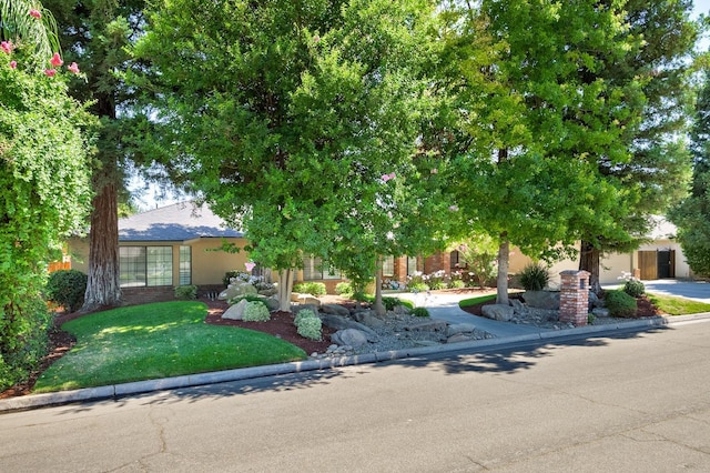 obstructed view of property with a front yard