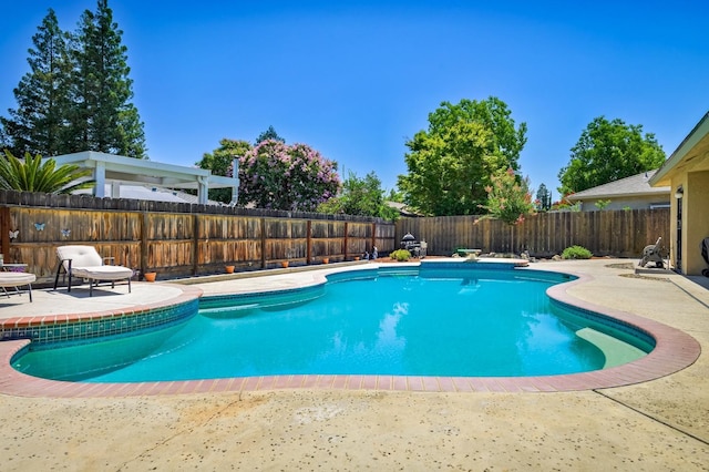 view of pool featuring a patio area