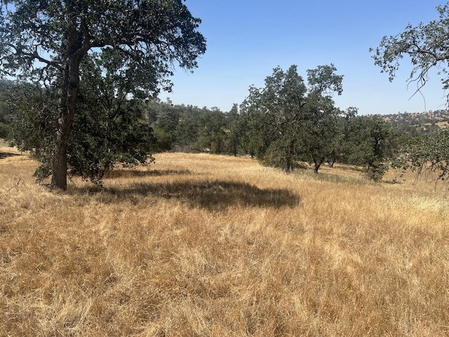 0 Big Rock Ct, Coarsegold, CA 93614 - photo 6