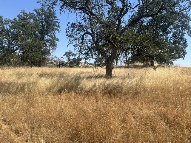 0 Big Rock Ct, Coarsegold, CA 93614 - photo 5