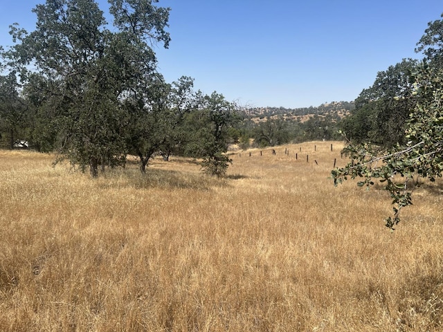 0 Big Rock Ct, Coarsegold, CA 93614 - photo 2