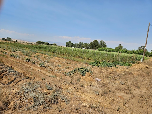 view of landscape with a rural view