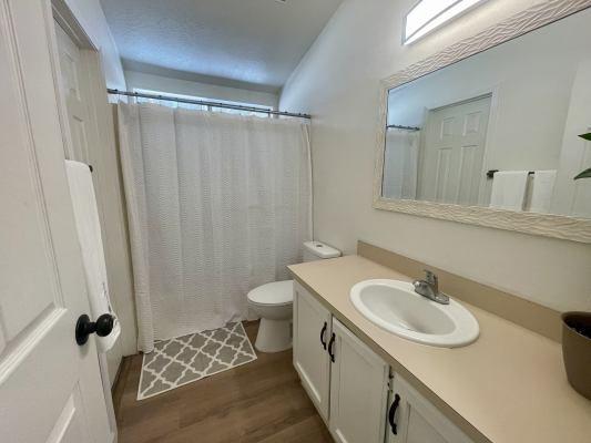 bathroom featuring vanity, curtained shower, wood-type flooring, and toilet