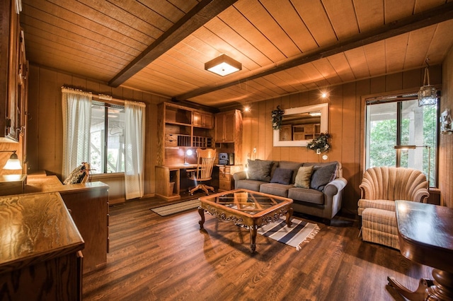 living room with dark hardwood / wood-style flooring, beam ceiling, wooden walls, and wooden ceiling