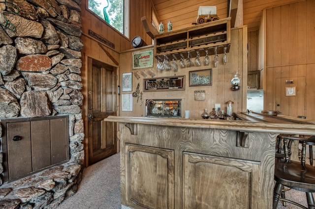 bar featuring carpet and wooden walls