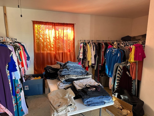 walk in closet featuring carpet flooring