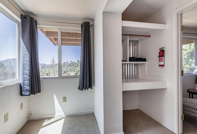 unfurnished bedroom with baseboards and light colored carpet