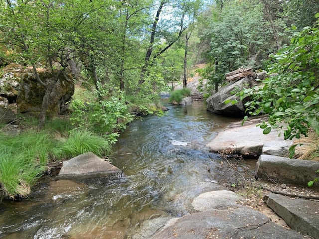 property view of water featuring a wooded view