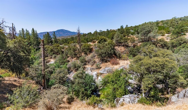 mountain view with a view of trees